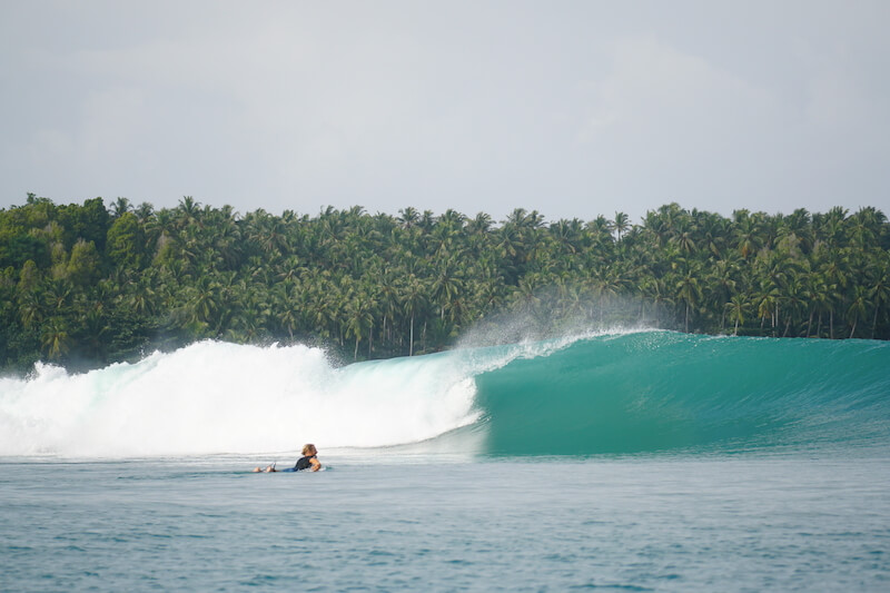 paddle-training-jason