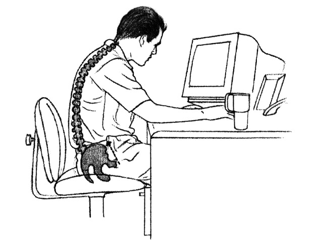 Guy Doing Desk Work And Showing His Spine
