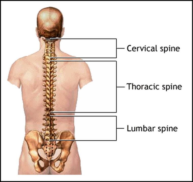 T Spine Mobility