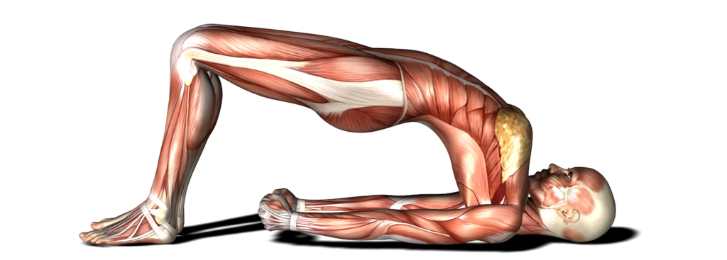 Stretching, Improve Your Flexibility