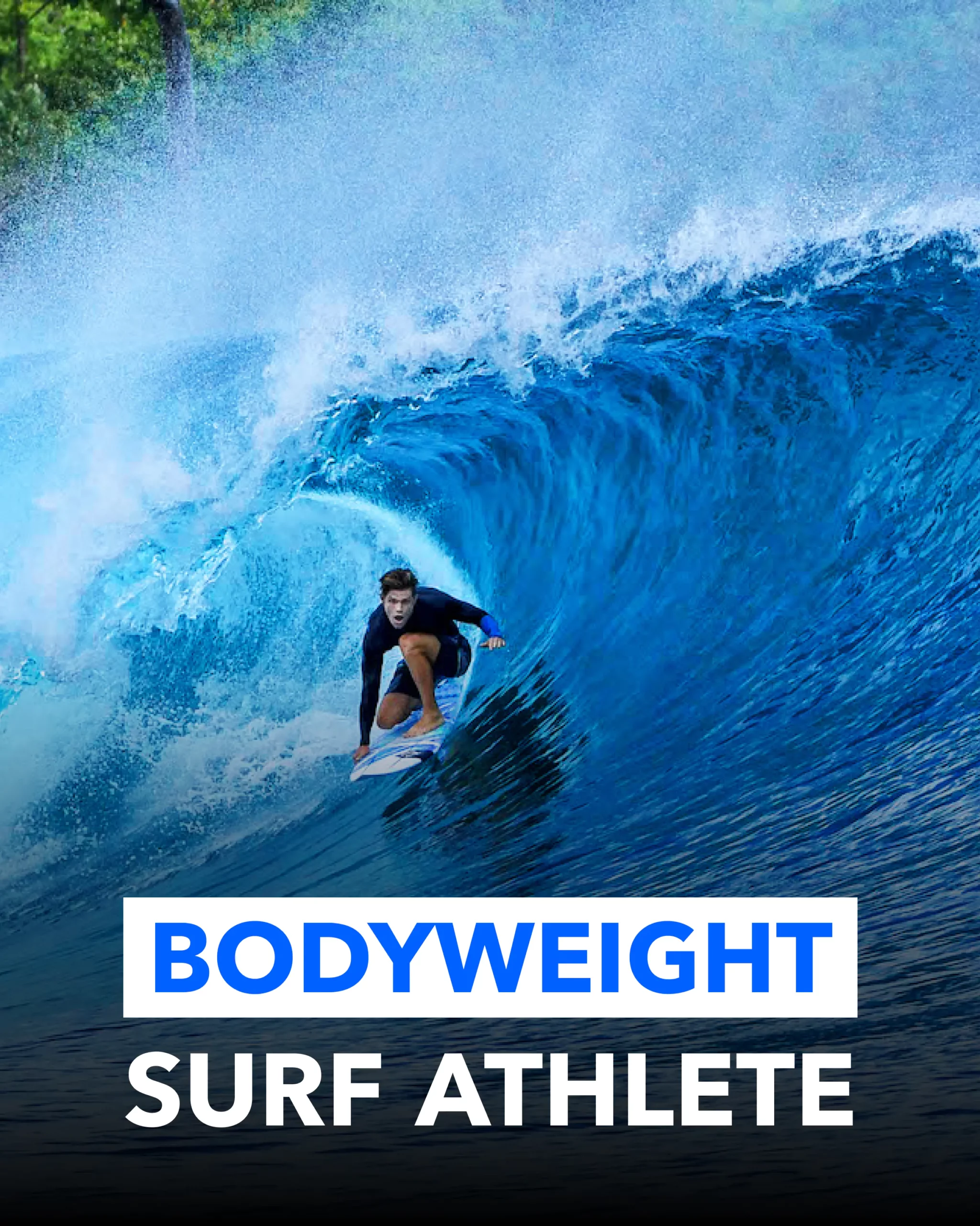 Free Surf Training Program Learn to Surf Surf Strength Coach