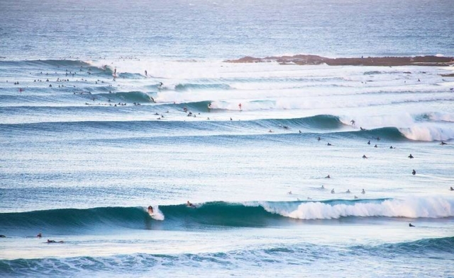 Forever Fishing - Sliding a mullet in the surf is a deadly