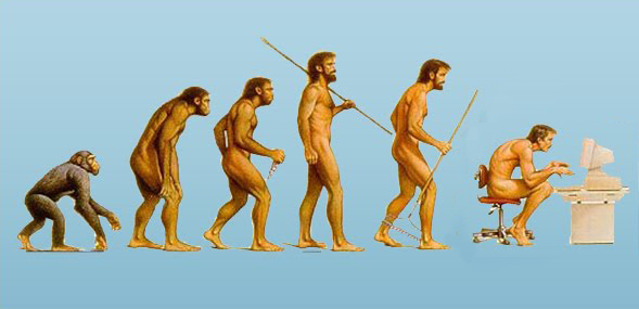 evolución postural