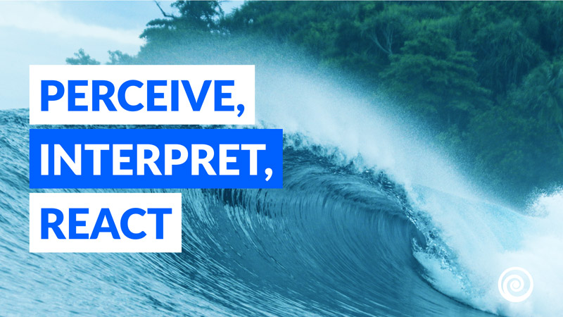 surfstrengthcoach-blog-how-to-read-waves-perceive-interpret-react