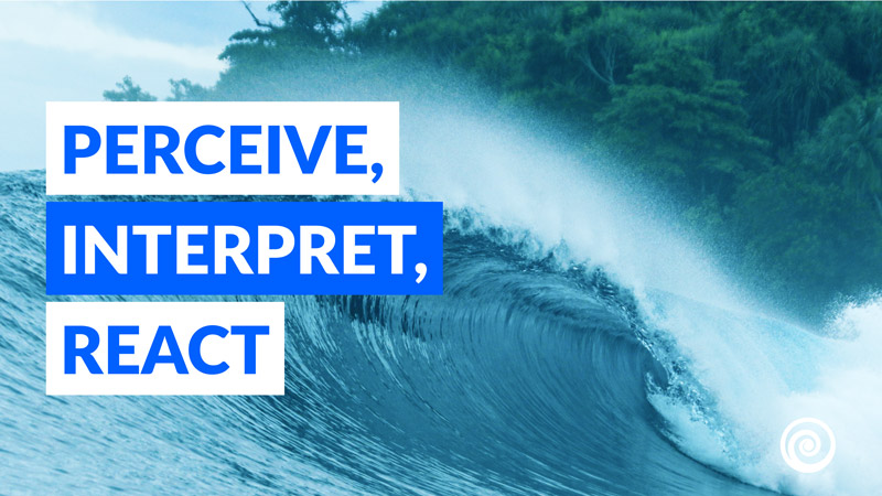 surfstrengthcoach-blog-how-to-reagir-waves-perceive-interpretar-reagir