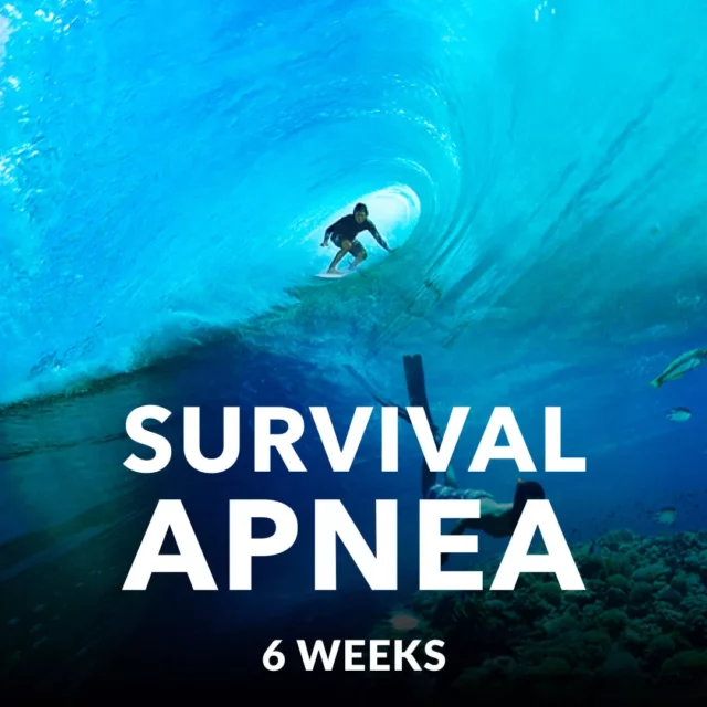 Survival Apnea